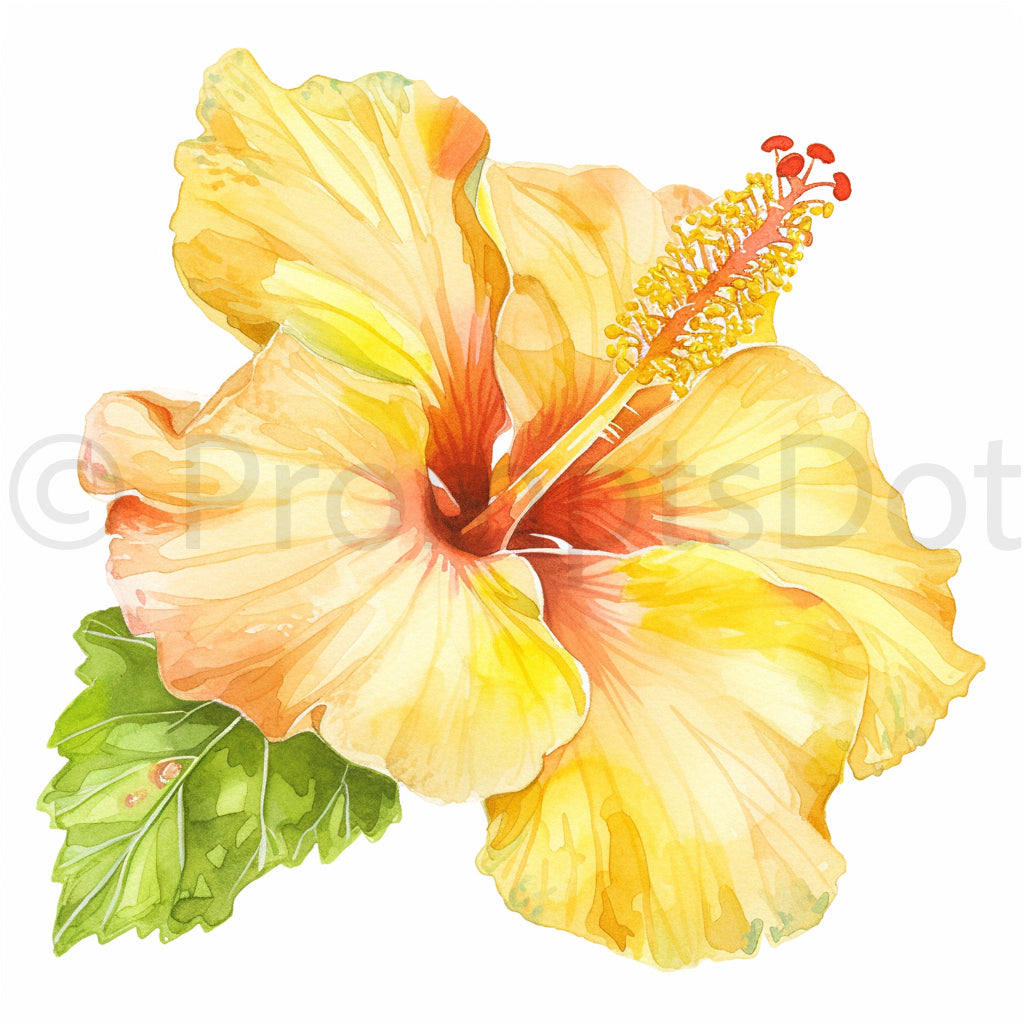 hibiscus flower Boho Beach Watercolor Midjourney Prompts